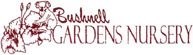 Bushnell Gardens Nursery